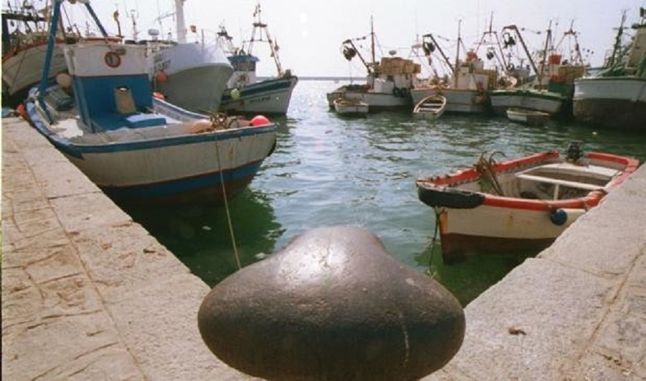 Puerto pesquero de Barbate / La Voz de Cádiz